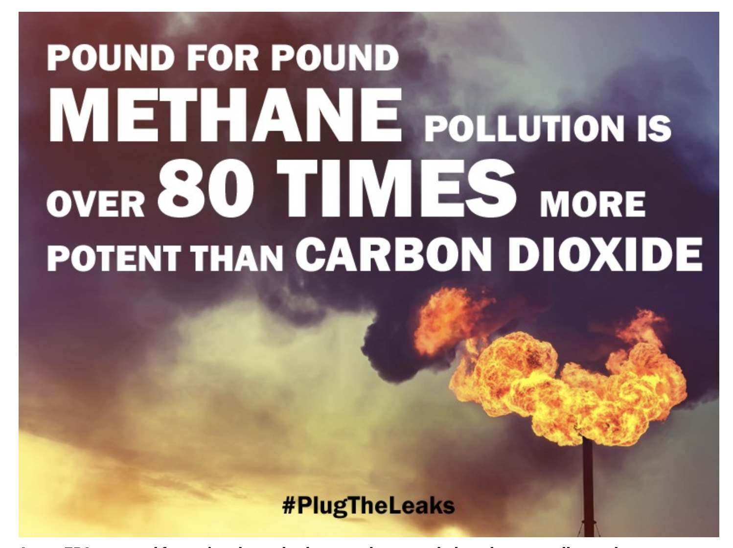 Fix the Leaks | Mind Over Media